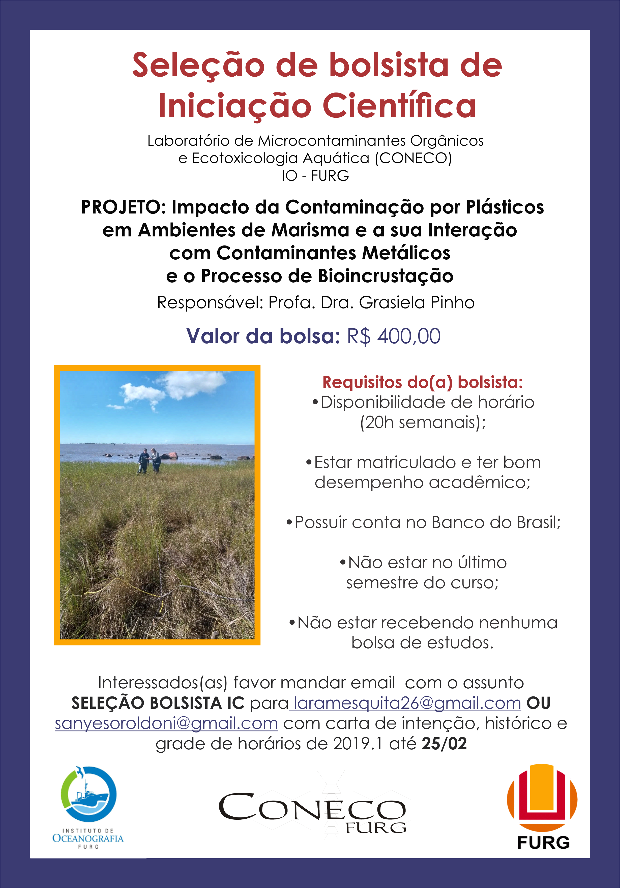 Bolsa Iniciação Científica