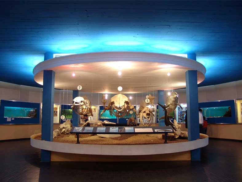 museu 2